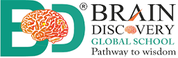 Brain Discovery Global Logo